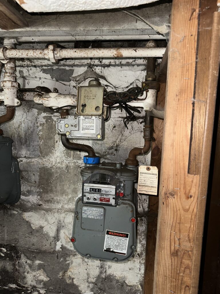 4 Bed Single Family in Grand River-I96 in Detroit, MI 48227, photo 5 of 15